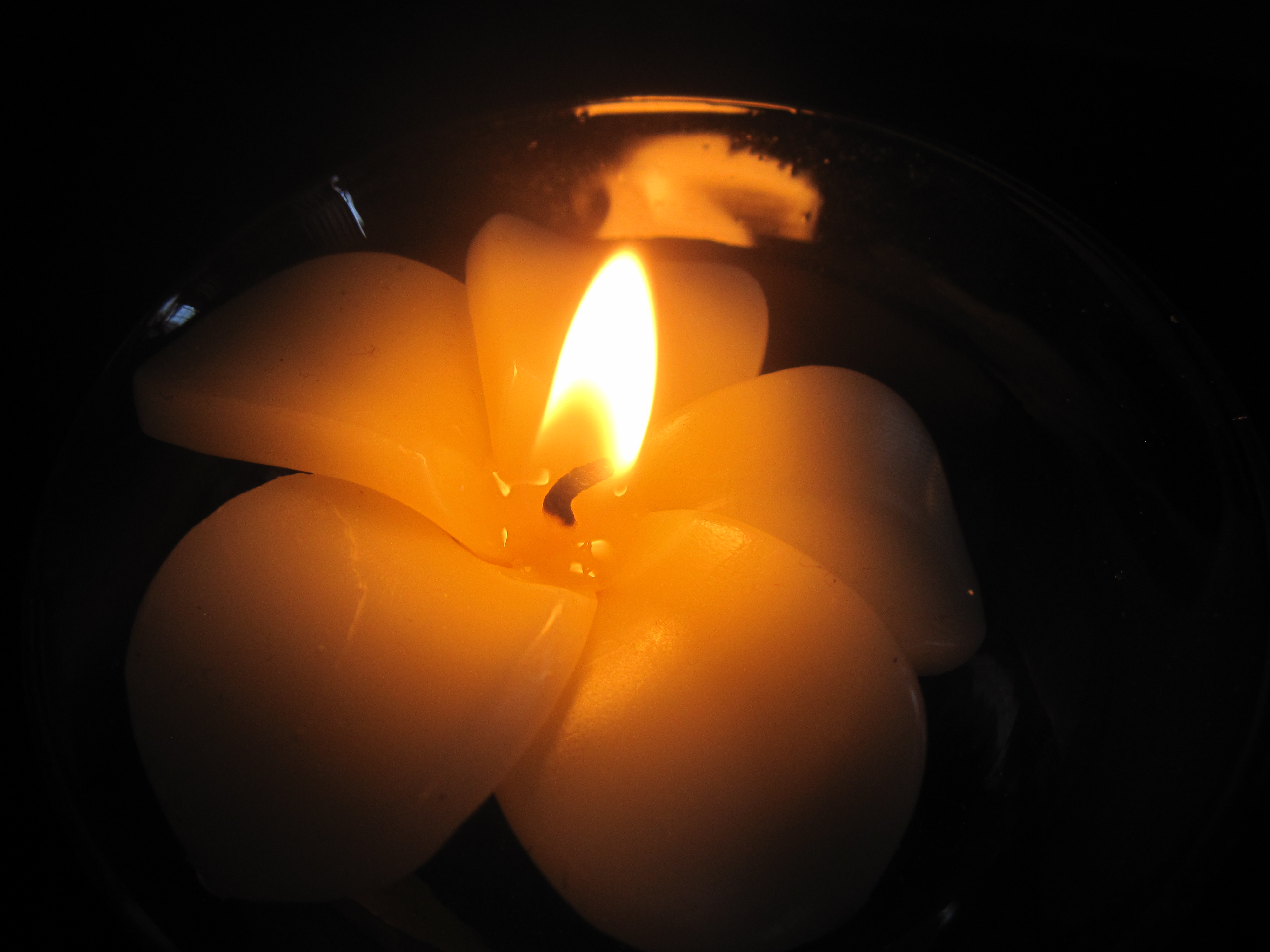 frangipani candle