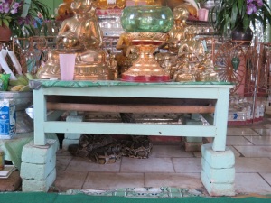 snake temple 4